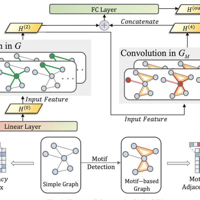 Extracting Higher Order Topological Semantic via Motif-Based Deep Graph Neural Networks