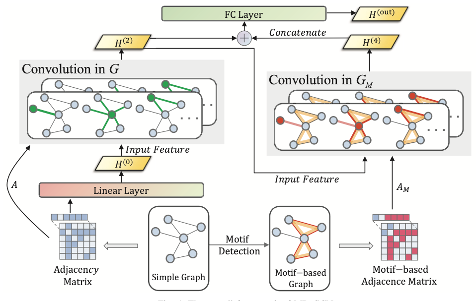 Extracting Higher Order Topological Semantic via Motif-Based Deep Graph Neural Networks